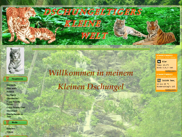 www.dschungeltiger.de