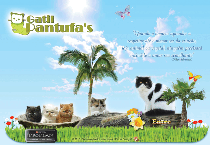 www.gatilpantufas.com