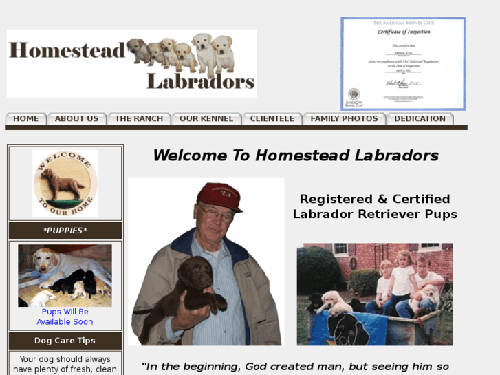 www.homesteadlabradors.com