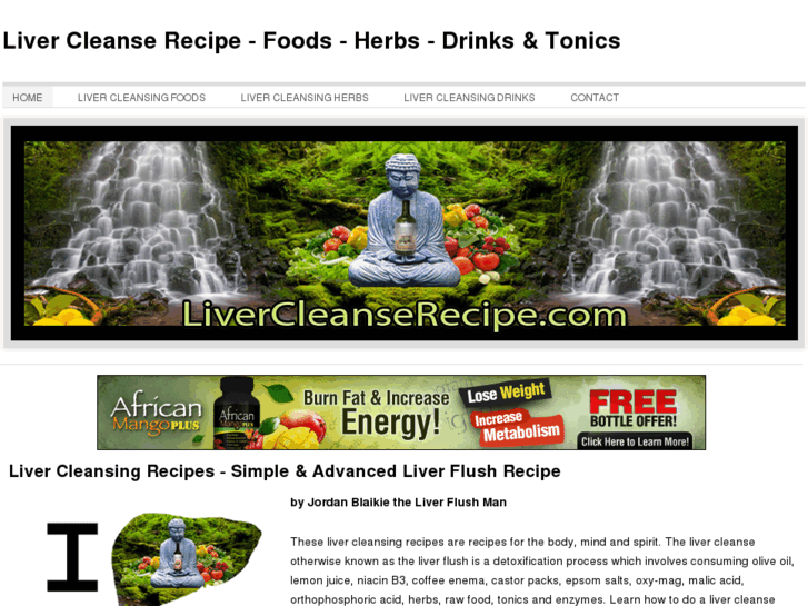 www.livercleanserecipe.com