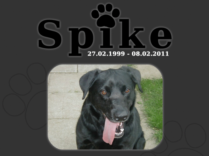 www.spikedog.co.uk