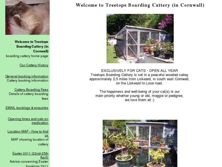 www.treetops-cattery.com