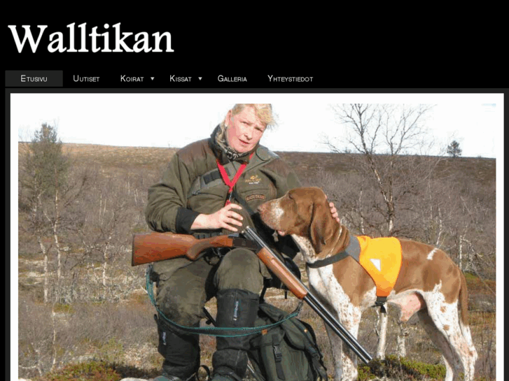 www.walltikan.com