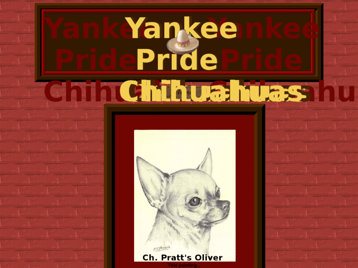 www.yankeepridechihuahuas.com