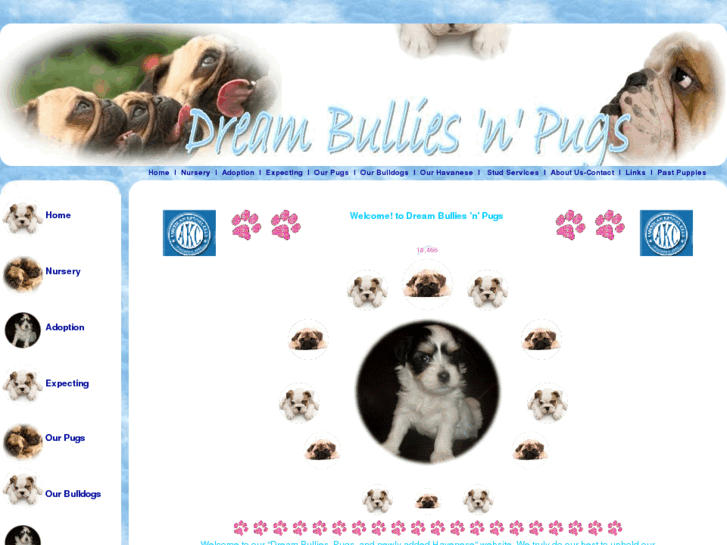 www.dreambulliesandpugs.com