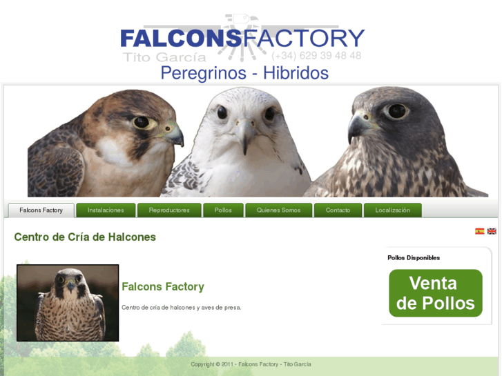 www.falconsfactory.com