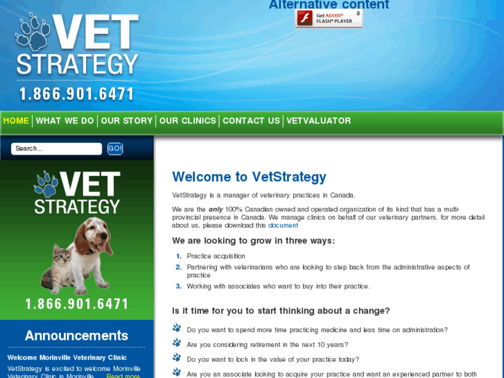 www.vetstrategy.com