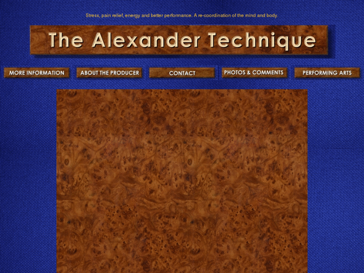 www.alexandertechniquevideo.com