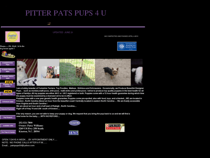 www.pitterpatspups4u.com