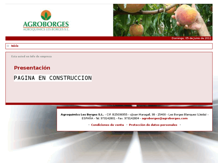 www.agroborges.com