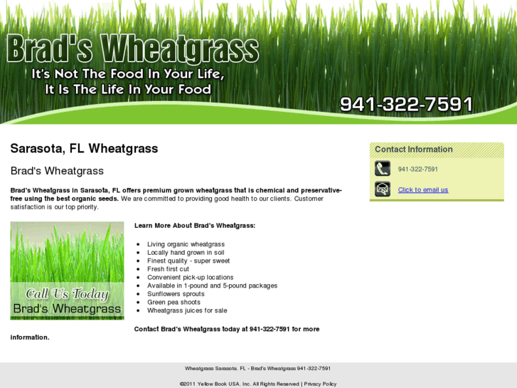 www.bradswheatgrass.com