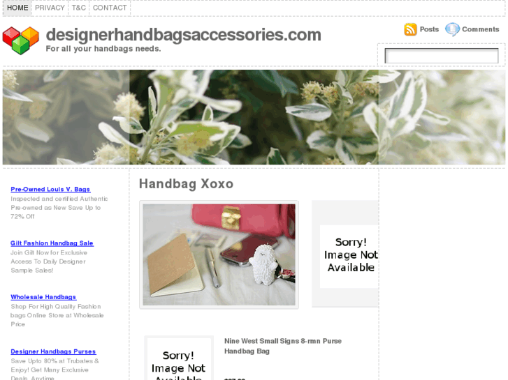 www.designerhandbagsaccessories.com