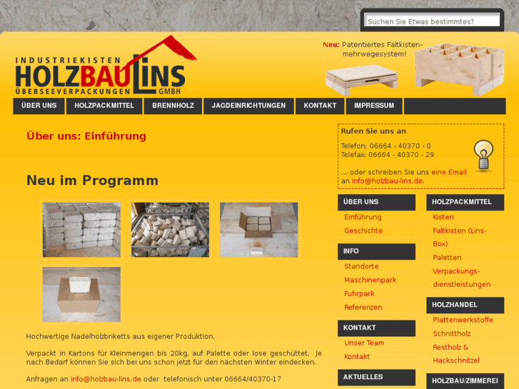 www.holzbau-lins.de