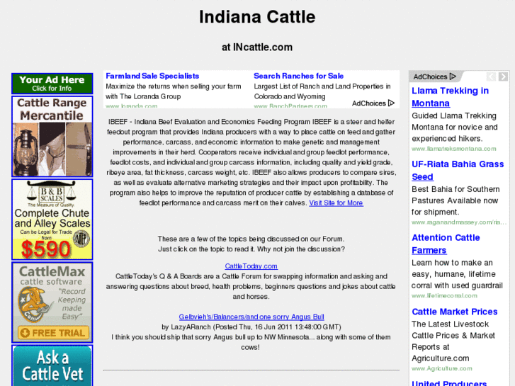 www.incattle.com