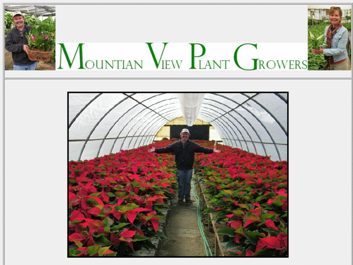 www.mtviewplants.com