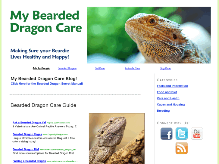 www.mybeardeddragoncare.com