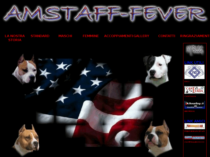 www.amstaff-fever.com