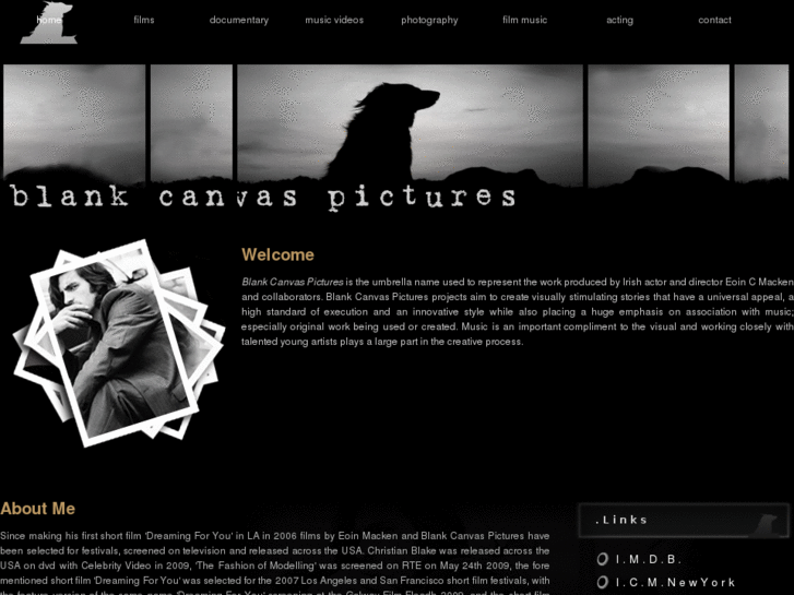 www.blankcanvaspictures.ie