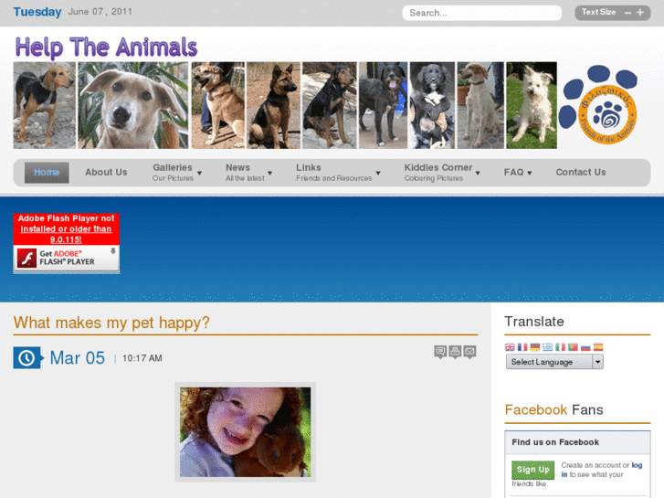 www.helptheanimals-crete.com