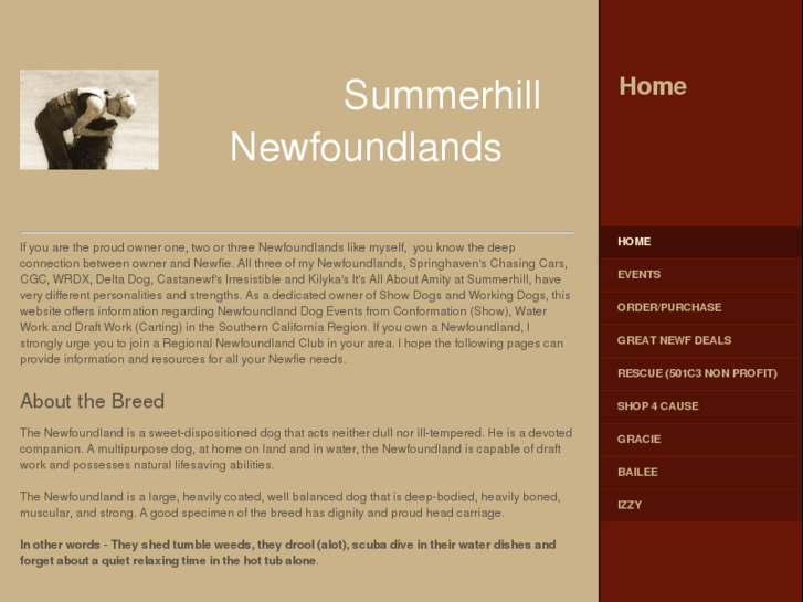 www.newfoundlandworkingdogs.com