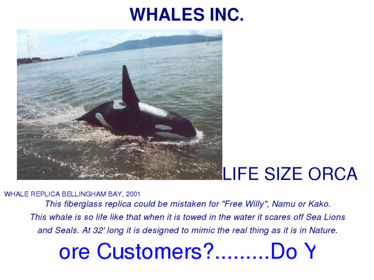 www.whalesinc.com