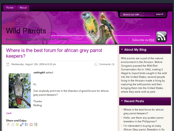 www.wild-parrots.com