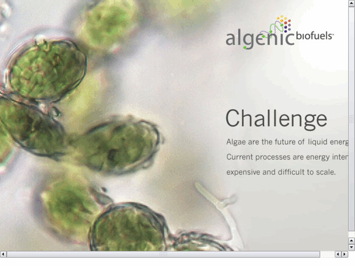 www.algenic.com