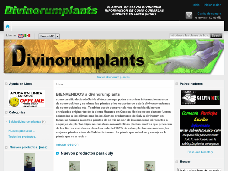 www.divinorumplants.com