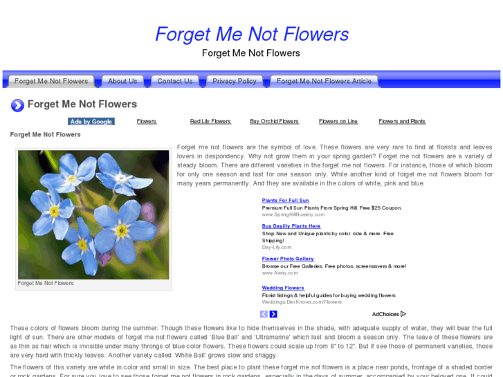 www.forgetmenotflowers.org