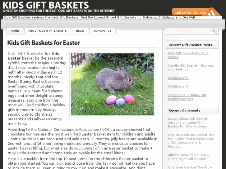 www.kidsgiftbaskets.org