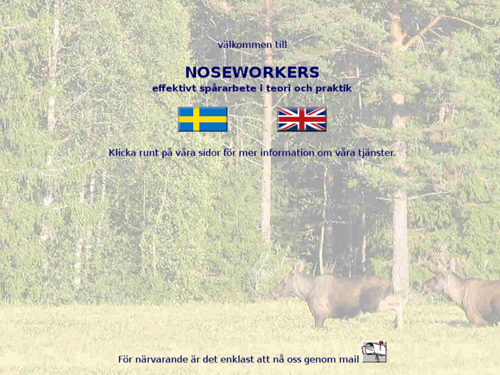 www.noseworkers.com