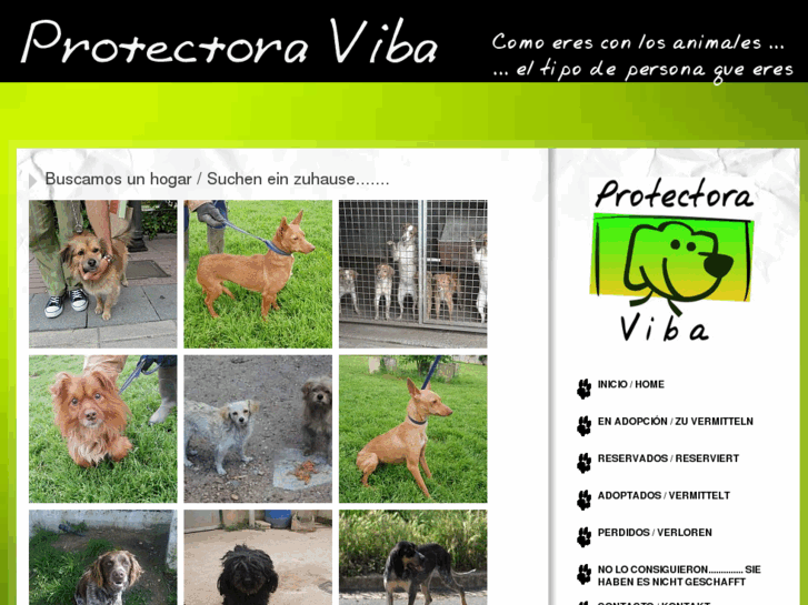 www.protectoraviba.org