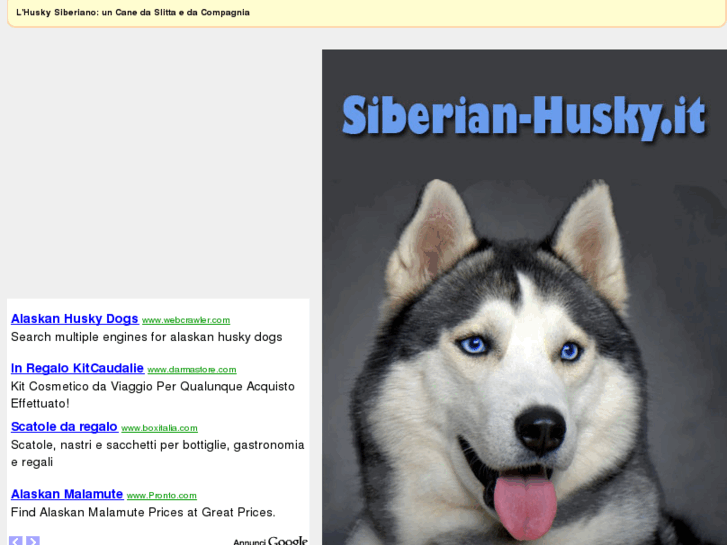 www.siberian-husky.it
