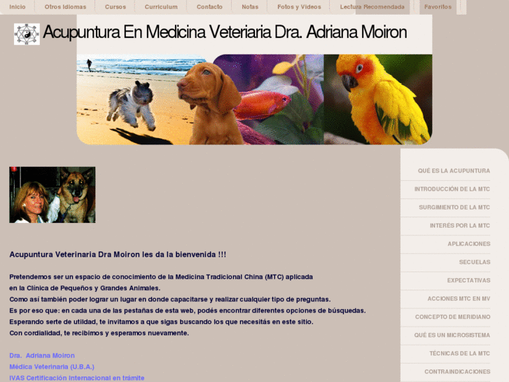 www.acupunturaveterinariadramoiron.com