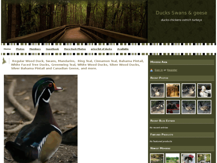 www.baldridgeducks.com