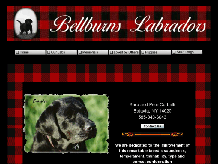 www.bellburnslabs.com