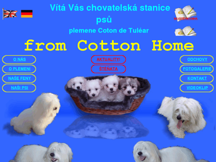 www.cotonhome.cz