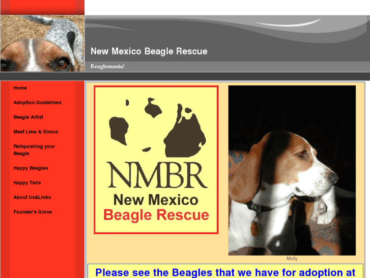 www.newmexicobeaglerescue.org