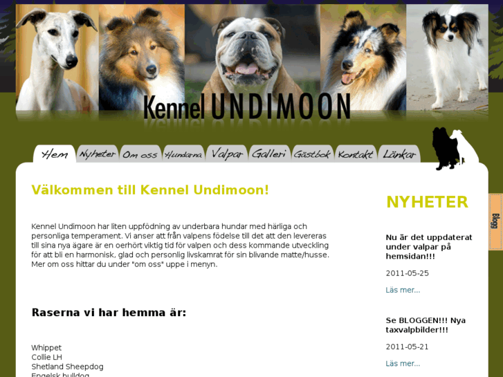 www.undimoon.se