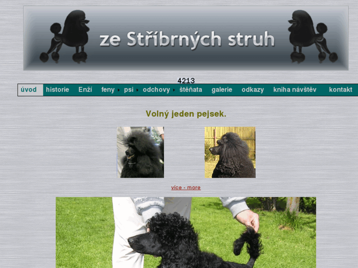 www.ze-stribrnych-struh.com