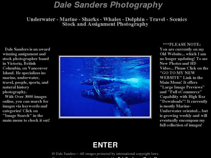 www.dalesanders.info