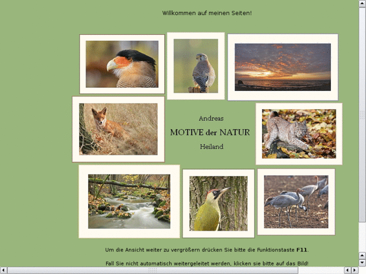 www.motivedernatur.de