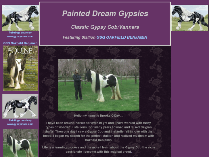 www.painteddreamgypsies.com