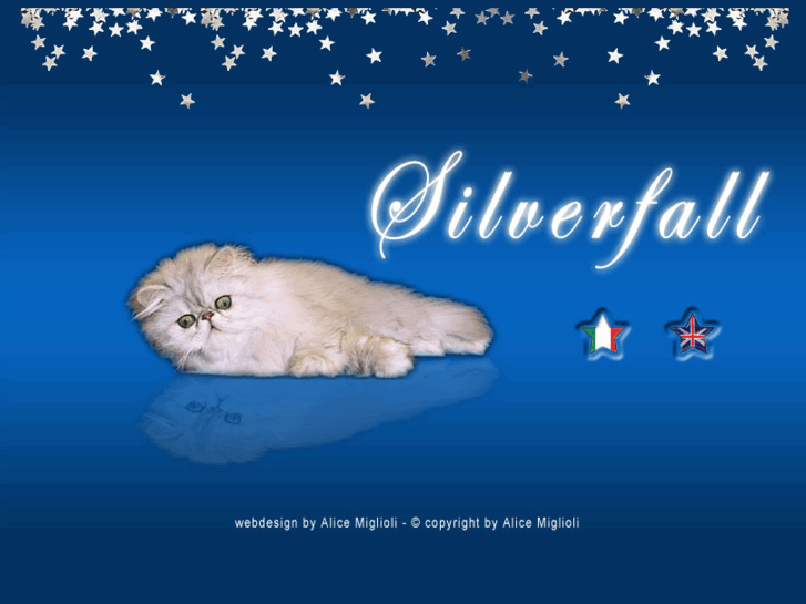 www.silverfallpersians.com