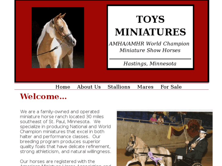 www.toysminis.com