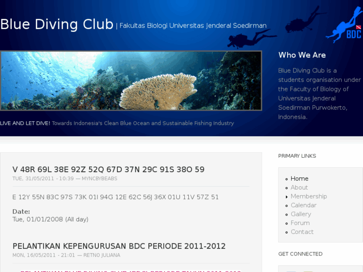 www.bluedivingclub.org