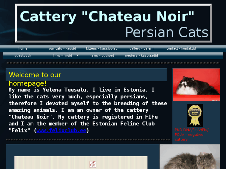 www.chateaunoir.org