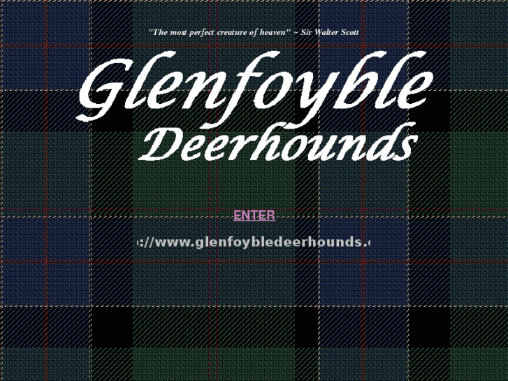 www.glenfoybledeerhounds.com