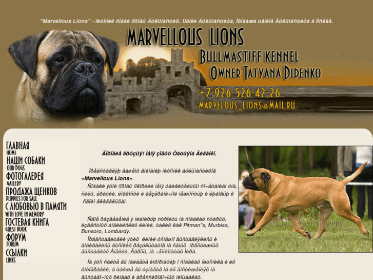 www.kennel-bullmastiff.ru