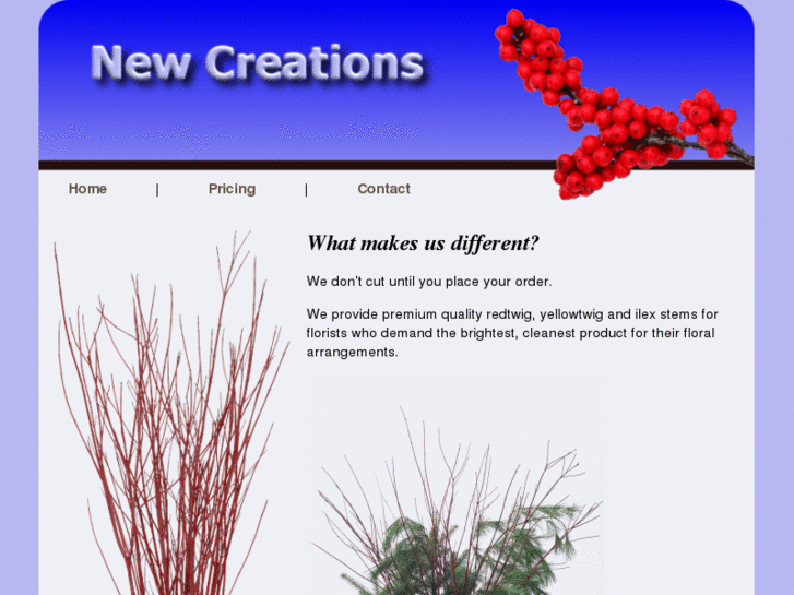 www.newcreationsfloralsupply.com